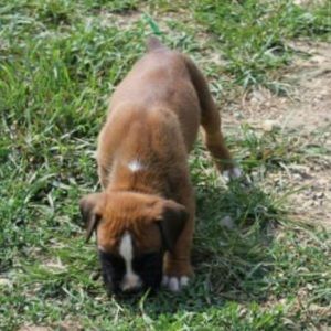 Meet your Posher, Kathy